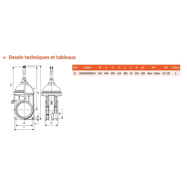 Vanne Laiton DIAMANTE-RIV20 GDE Capacite 2BRIDES 6'